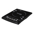 Induction Cooker