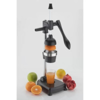 Aluminium Juicer | Fresh Juices at Your Fingertips
