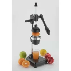 Aluminium Juicer | Fresh Juices at Your Fingertips